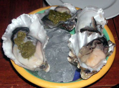 aotea_oyster.jpg
