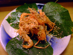 kawakyo_ebi.jpg