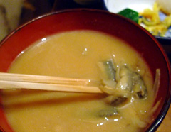komagata_dozeujiru.jpg