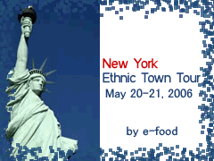 newyork_ethnictowntour.gif