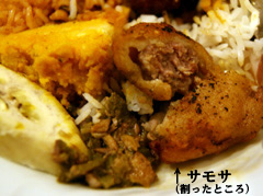 ovillage_samosa.jpg