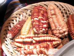 peru_corns.jpg
