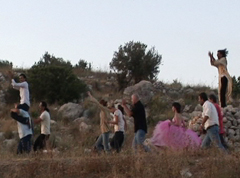 pink5.jpg