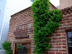 shonancurry_shop.jpg