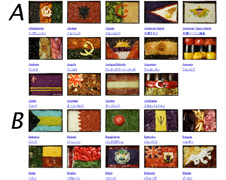 flagbentos.jpg