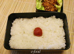 bento_japan.jpg