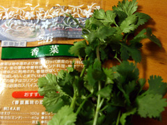mexico_coriander.jpg