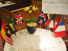 okura07_10countries_image.jpg