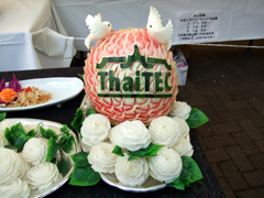 thaifes08_caving.jpg