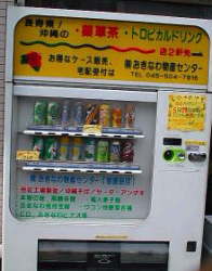 沖縄ドリンクの自動販売機