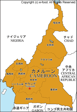 カメルーン地図
