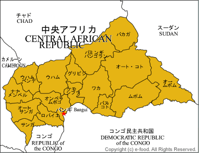 中央アフリカ地図
