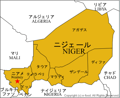 ニジェール地図