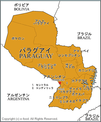 パラグアイ地図