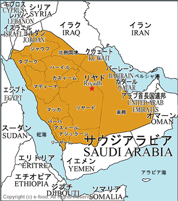 サウジアラビア地図