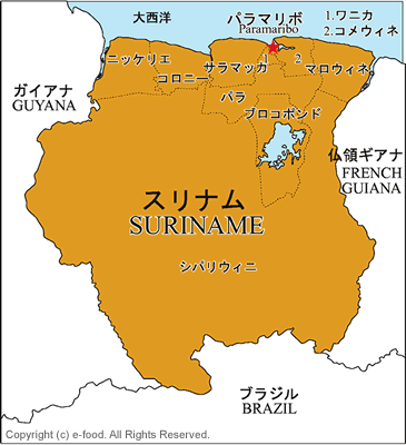 スリナム地図
