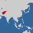 アフガニスタン