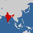 インド