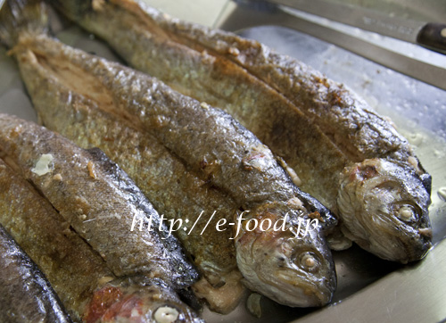 troutfish