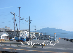 hiroshima_kaki3