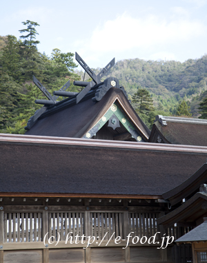 shimane_izumotaisha
