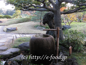 清澄庭園。ちょうど紅葉の美しいシーズンだった。
