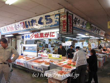tottori_matubagani2