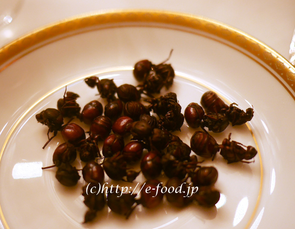 columbia_ants